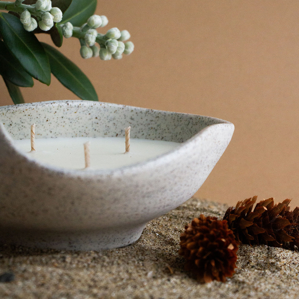 A&C & Author Ceramics Christmas Candle - Fresh Pine