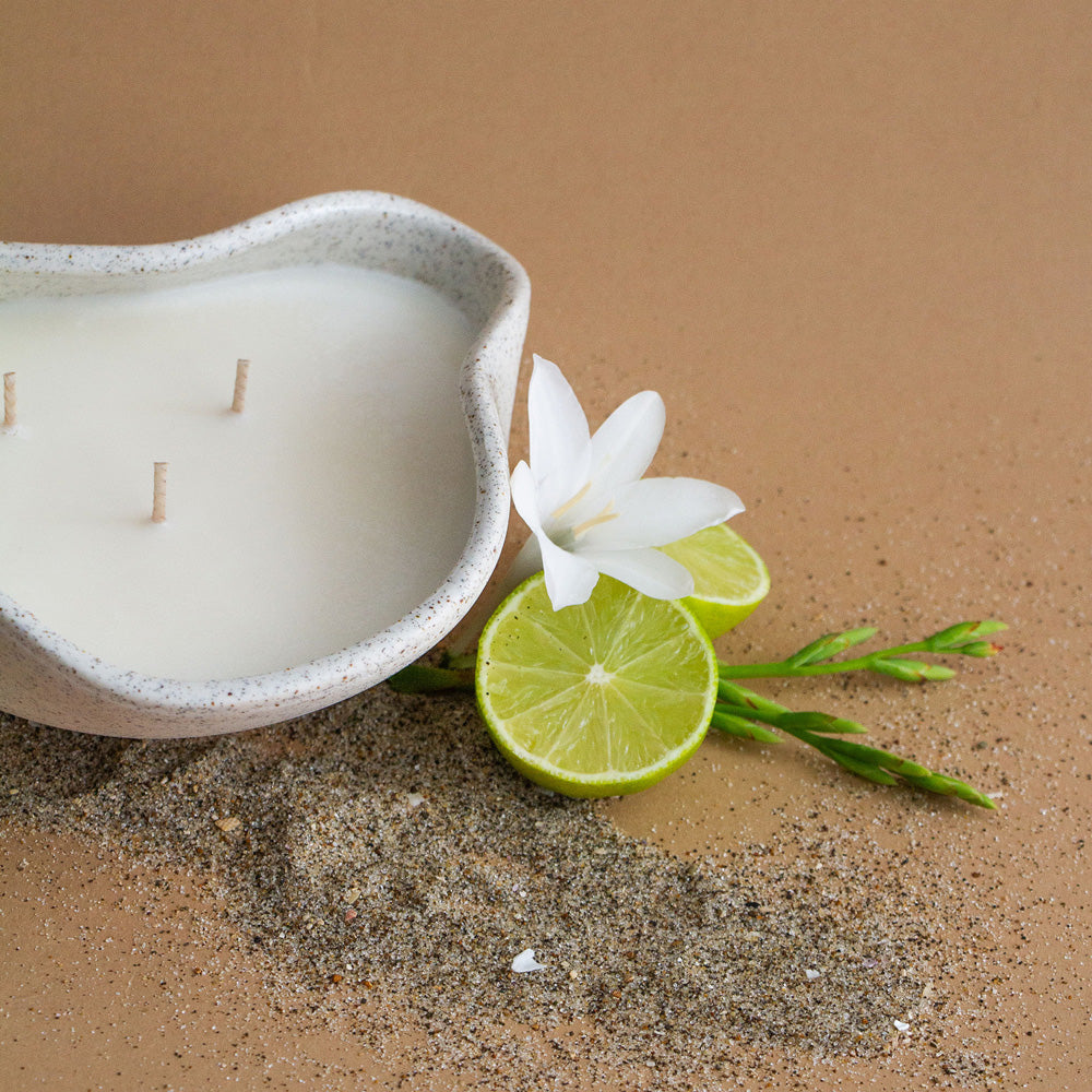 A&C & Author Ceramics Candle - Willow